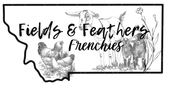 Fields Feathers & Frenchies